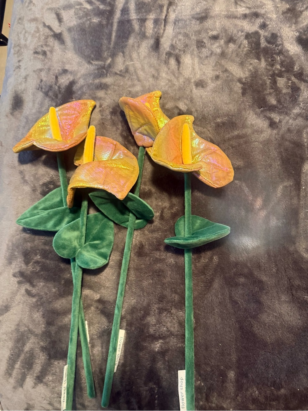 CJ HENDRY Anthurium Stems set of 4